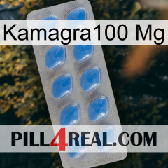 Kamagra100 Mg 22